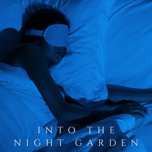 Into the Night Garden