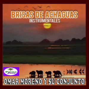 Brisas de Achaguas (Instrumental)