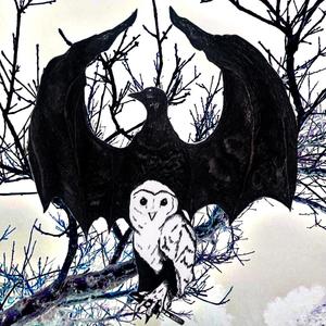 PYREX VISION (feat. Kyd And Cambria) (Explicit)