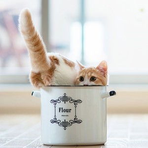 Still Falls The Rain