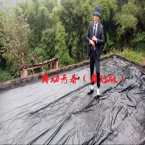 舞动青春 (舞蹈版)