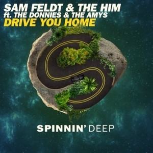 Drive You Home (Original Mix)