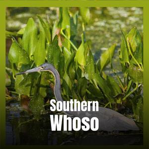 Southern Whoso