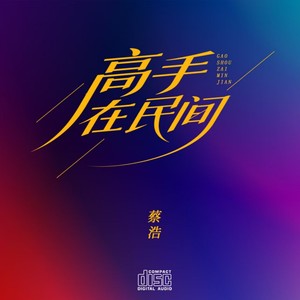 高手在民间 DJ (伴奏)