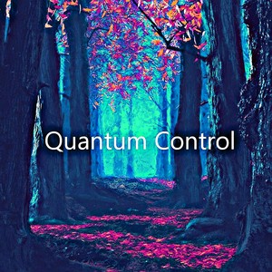 Quantum Control