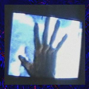 SelfDestruction. (feat. Chxzz) [Explicit]