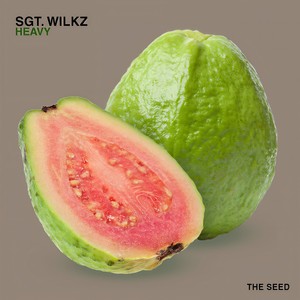 Heavy (Ross Mt. Park Remix)