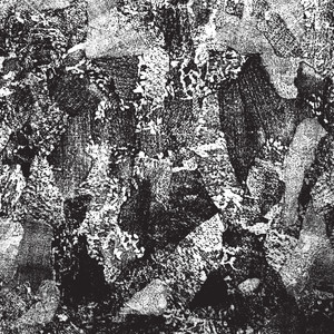 Gnawed Flesh (Live)