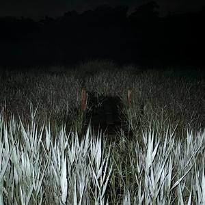 out the way / Real Pixel (Explicit)