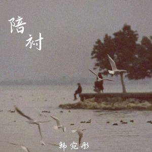 陪衬
