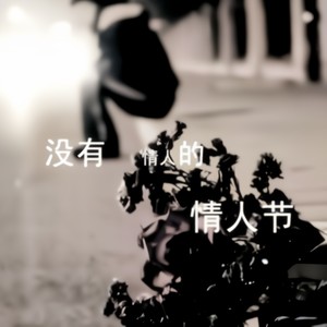 流浪的子弹 (Rmx)