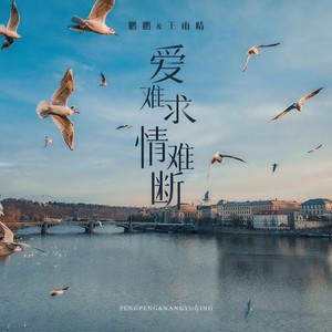 爱难求情难断封面