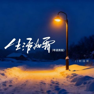 生活如霜 (粤语男版DJ阿尼)