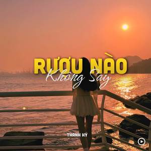 Rượu Nào Không Say (Lofi)