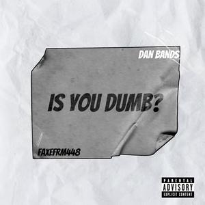 Is You dumb? (feat. Dan Bands) [Explicit]