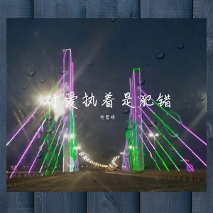 对爱执着是犯错