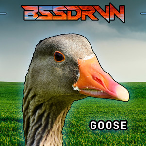 GOOSE