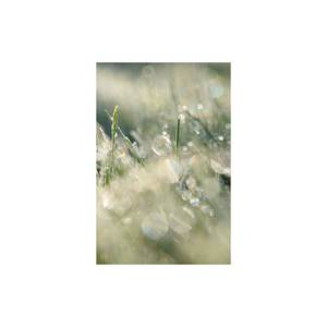 Intro: Boy Meets Evil