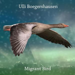 Migrant Bird
