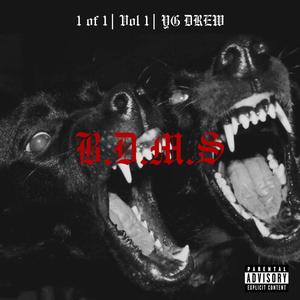 Rockstar (feat. dripoice) (Explicit)