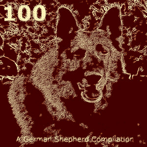 100: A German Shepherd Compilation (Explicit)