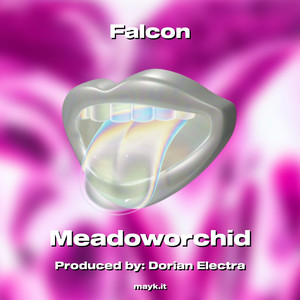 Falcon (Explicit)