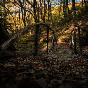 Зачем я полюбил тебя