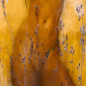 Bangers tucked (Explicit)