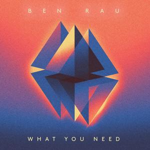 What You Need (Radio Edit)