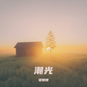 潮光封面