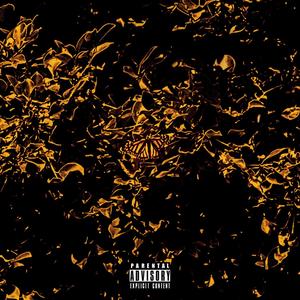 MIGHT DELETE OUTRO... (Explicit)