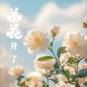茶花开了 钢琴版-核桃