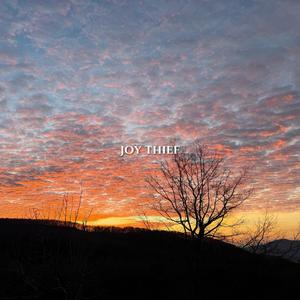 Joy Thief
