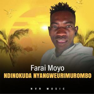 NDINOKUDA NYAMGWEURIMUROMBO-FARAI MOYO