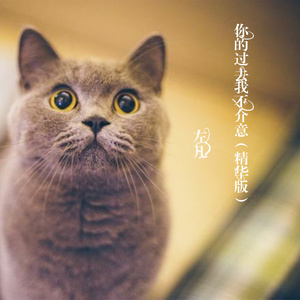 你的过去我不介意 (精华版)