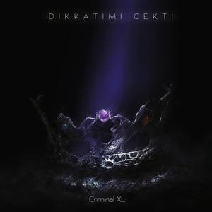 Dikkatimi Çekti (Explicit)