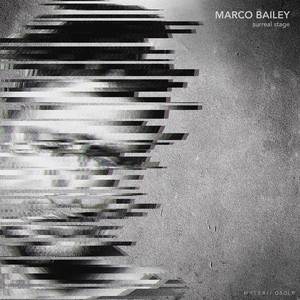The Black Pearl (Original Mix)