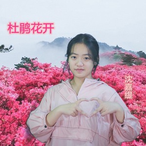 杜鹃花开