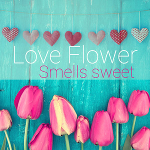 Love Flower Smells Sweet