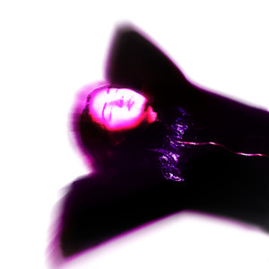 Vitrachati (Explicit)