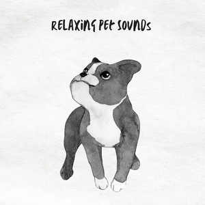 Soft Calm rewarding