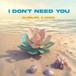 I Don't Need You (Explicit)