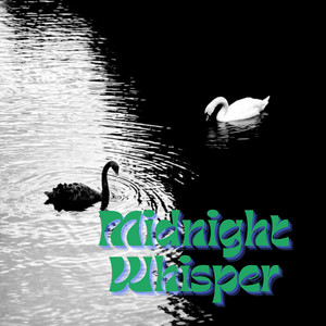 Midnight Whisper