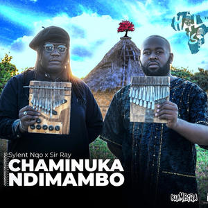 Chaminuka Ndimambo (feat. Sir Ray)