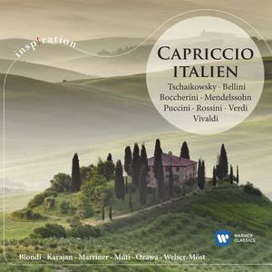 Concerto for 2 Mandolins in G Major, RV. 532 - I. Allegro