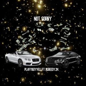 Not Sorry (Explicit)