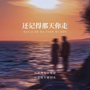 还记得那天你走