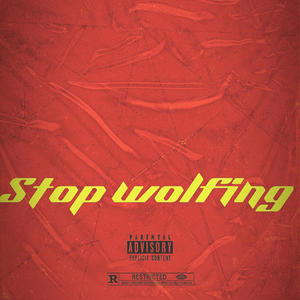 Stop wolfing (feat. Slimmeynikkaonna10 & B~$teady) [Explicit]