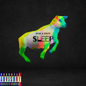 SLEEP (feat. Dapp) (Explicit)