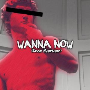 Wanna Now (Remix)